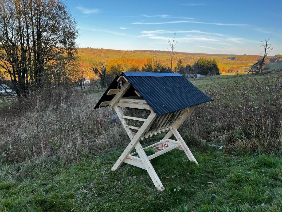Luxus Ferienhaus Erzgebirge In Alleinlage Altenberg  Extérieur photo